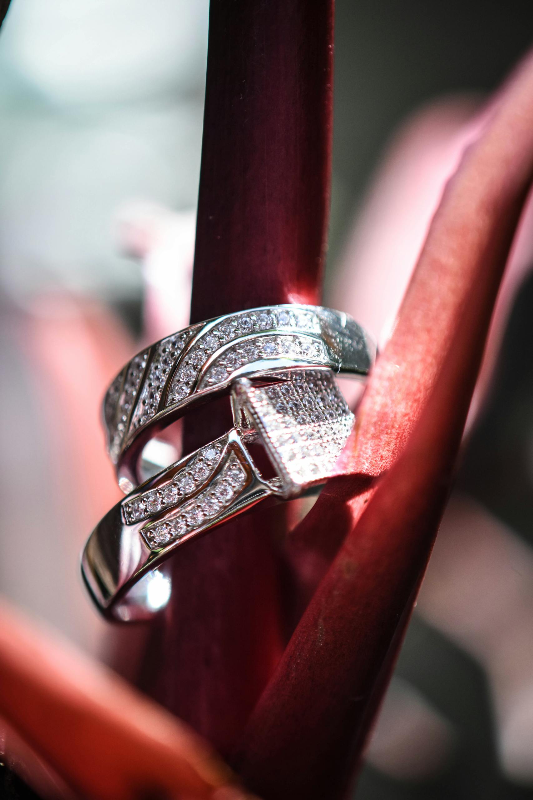 Close-up of sparkling diamond rings gracefully adorning colorful plant stems in a soft focus setting.